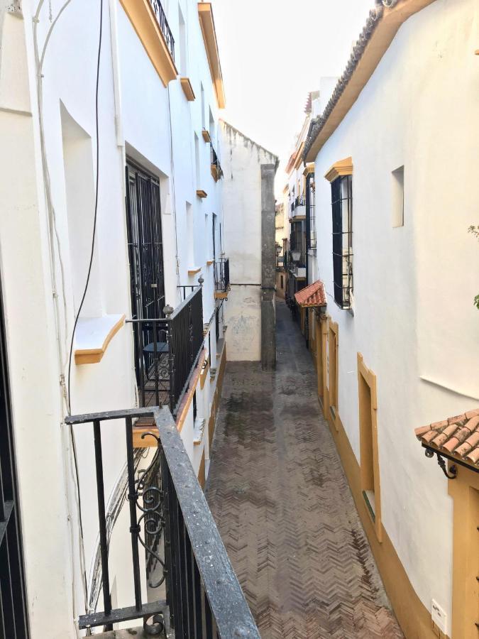Acogedor Apt 8Pax 4Bdr 2Bth- Cozyhomesevilla2 エクステリア 写真