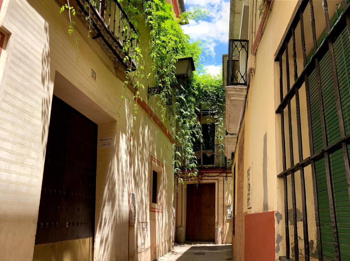 Acogedor Apt 8Pax 4Bdr 2Bth- Cozyhomesevilla2 エクステリア 写真