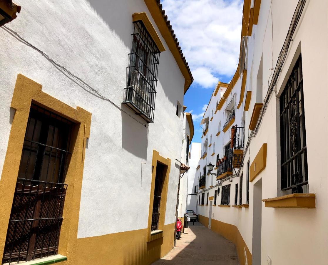 Acogedor Apt 8Pax 4Bdr 2Bth- Cozyhomesevilla2 エクステリア 写真